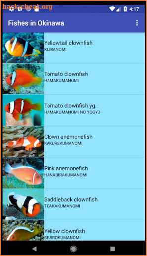 Fish Photo of OKINAWA screenshot