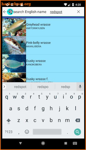 Fish Photo of OKINAWA screenshot