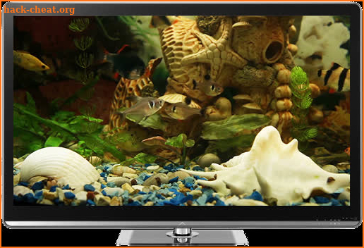 Fish Tank on TV via Chromecast screenshot