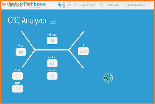 Fishbone Medical Analyzer screenshot