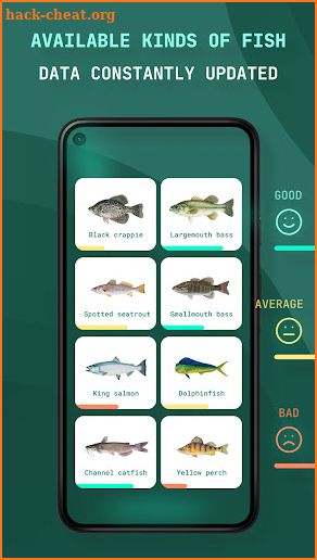 Fishing Activity screenshot