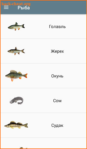 FishNewPro/Full screenshot