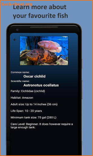 FishYI - Your Fish Identifier screenshot