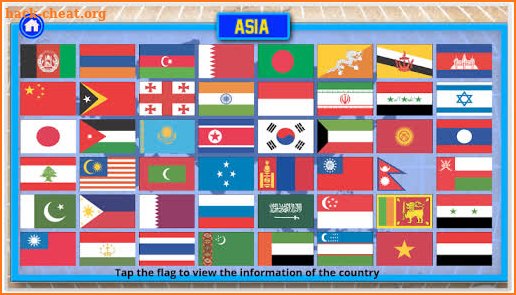 Flags screenshot