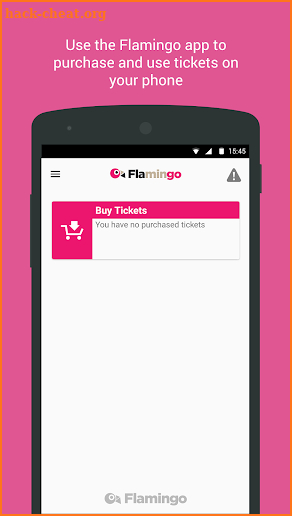 Flamingo Fares Tampa Bay screenshot
