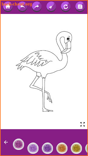 flamingo flying coloring book screenshot