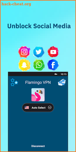 Flamingo VPN – Unblock Social & Secure Internet screenshot