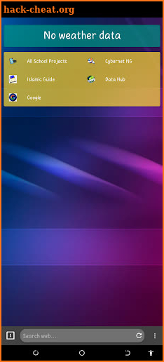 Flash Browser screenshot