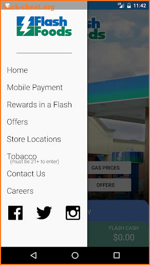 Flash Foods Mobile screenshot