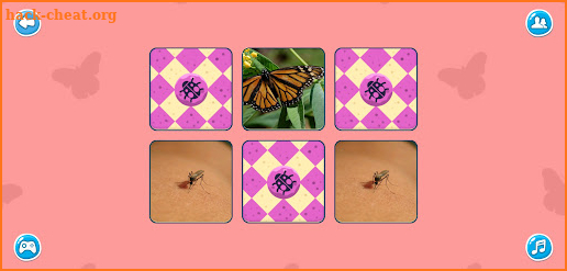 Flashcards Kid | Insect, Berry screenshot