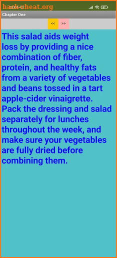 Flat-Belly Salad screenshot