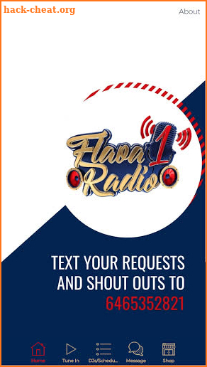 Flava1 Radio screenshot