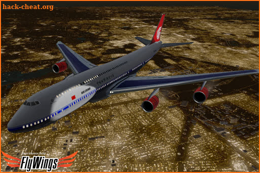 Flight Simulator Night NY HD screenshot