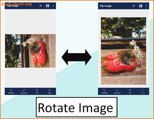 Flip Image (Mirror Image + Rotate Image) screenshot