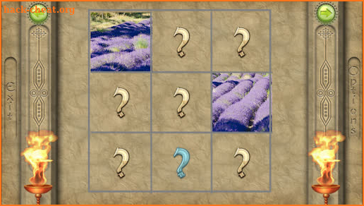 FlipPix Jigsaw - Lavender screenshot