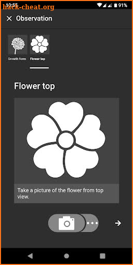 Flora Incognita - automated plant identification screenshot