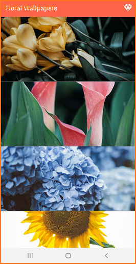 Floral Wallpapers screenshot