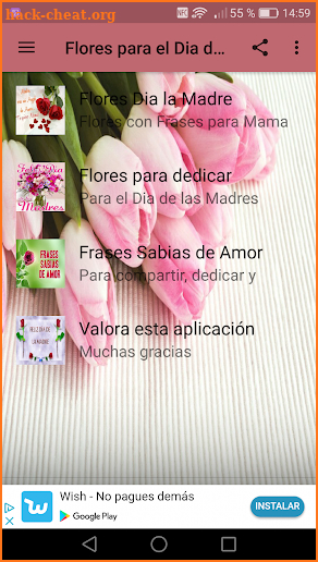 Flores para el Dia de la Madre screenshot