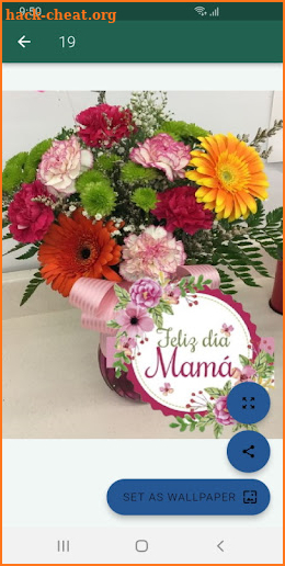 Flores y poemas para mamá screenshot
