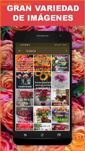 Flores y Rosas de Amor con Frases Románticas screenshot