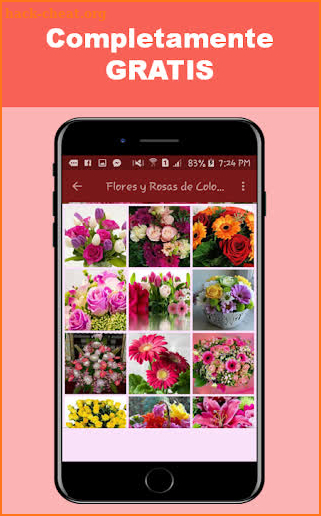 Flores y Rosas Rojas imágenes gratis screenshot