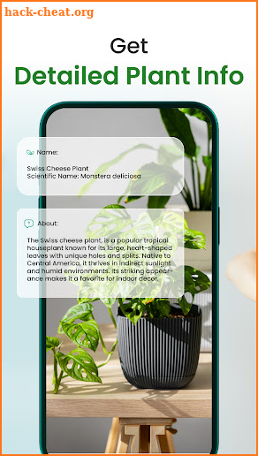 Florify: AI Plant Identifier screenshot