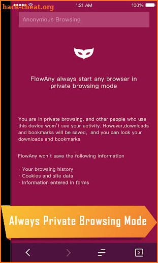 FlowAny Private Browser screenshot