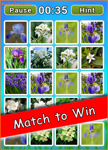 Flower Match Parade screenshot