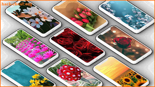 Flower Wallpaper screenshot