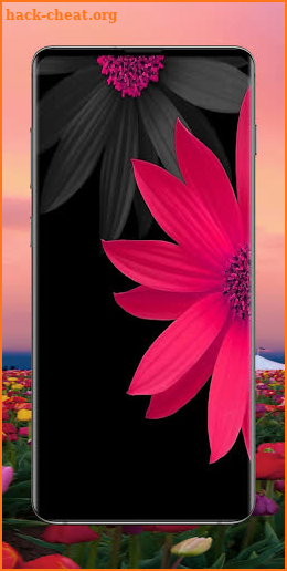 Flower Wallpapers screenshot