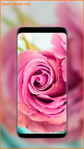🌺 Flower Wallpapers - Colorful Flowers in HD & 4K screenshot