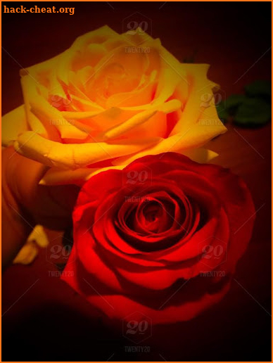 Flowers And Roses Animated Images Gif pictures 4K screenshot