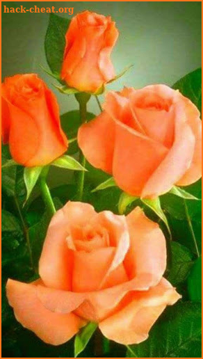 Flowers And Roses Animated Images Gif pictures 4K screenshot