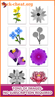 Flowers Color by Number,Pixel Art,Sandbox Coloring screenshot