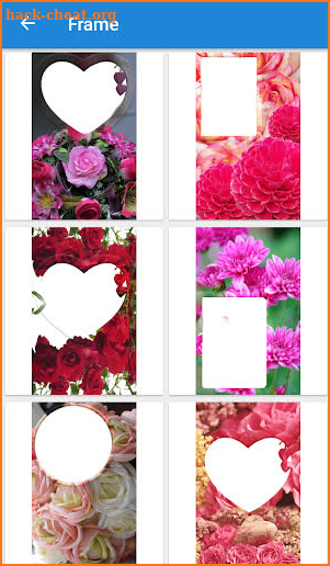 Flowers Photo Frame : Lovely Flowers Frame 2020 screenshot