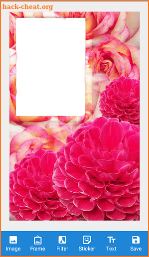 Flowers Photo Frame : Lovely Flowers Frame 2020 screenshot