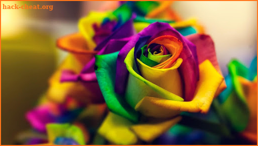 Flowers Roses Images Gif - Good Morning Messages screenshot