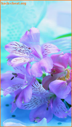 Flowers Screen screenshot
