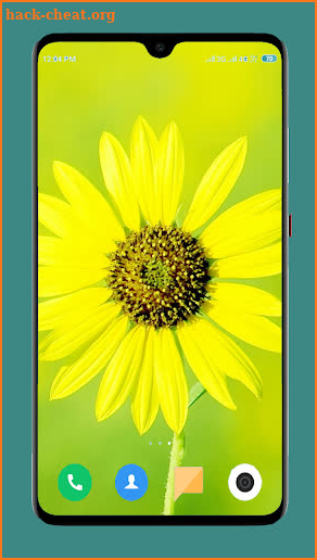 Flowers Wallpaper 4K screenshot
