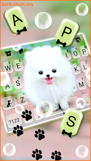 Fluffy Cute Dog Keyboard Background screenshot
