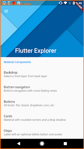 Flutter Explorer screenshot