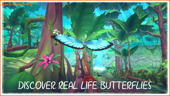 Flutter VR screenshot