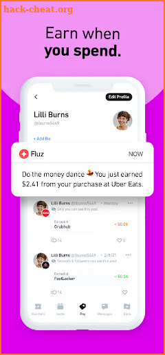 Fluz screenshot