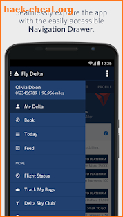 Fly Delta screenshot