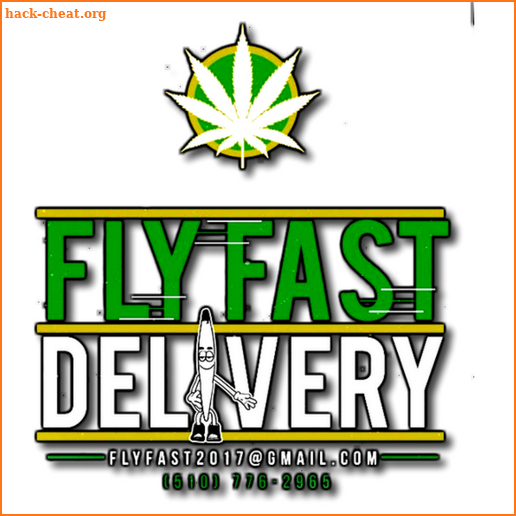 Fly Fast Delivery screenshot