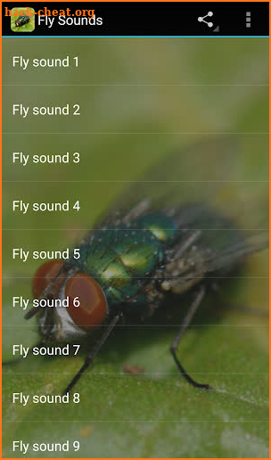 Fly Sounds Prank screenshot