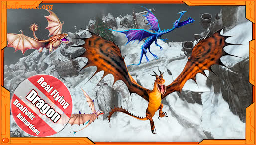 Flying Dragon Race 2019 screenshot