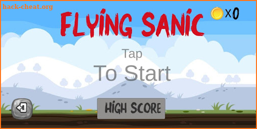 Flying Sanic screenshot