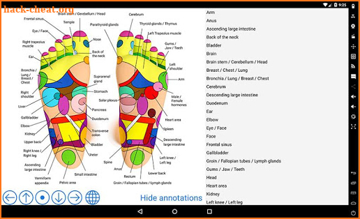 Foot Reflexology Chart screenshot