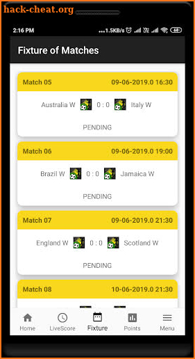 Football Women's World Cup Live Score & Goals screenshot